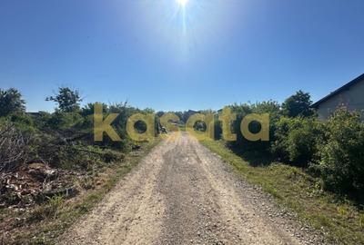 OPORTUNITATE | TEREN | SNAGOV TANCABESTI | CASA | 1000 MP | INVESTITIE - 2
