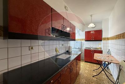 Apartament 3 camere ultracentral, Bd Unirii 31, vedere spre fantani - 10
