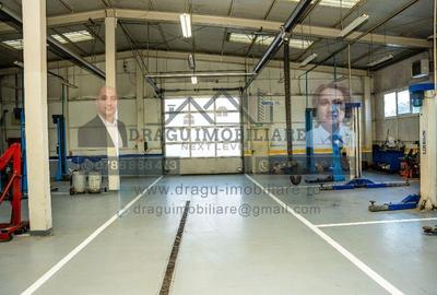 Structură metalică tip showroom/service – Tecuci – demontabilă - 8