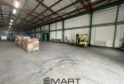 Hala productie sau depozitare 830mp zona Industriala Vest - 1