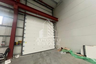 Hala 600 mp constructie noua, de inchiriat,  Sacalaz - 2