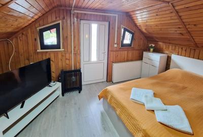 Vanzare vila superba la munte in Cheia Prahova renovata fara comision cumparator - 35