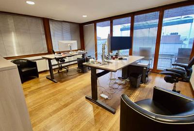 REA0048498 Triplex - 6 camere I Spatiu de birouri I Terasa 75 mp I View Superb I - 9