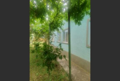 Casa Baicoi zona Schela - 16