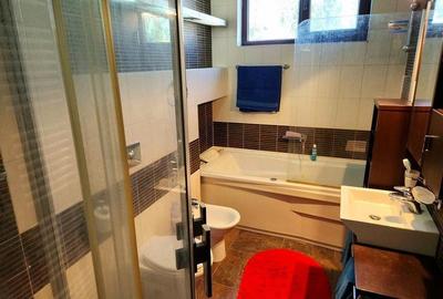 Baneasa Teisani vila 7 camere teren 1000 mp - 18
