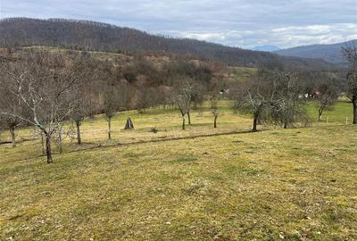 Teren intravilan si extravilan Luncoiu de Jos - 2