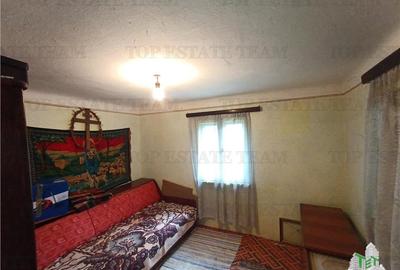 Casa taraneasca traditionala pe parter cu gradina si livada 1700mp in Gruiu, la - 16
