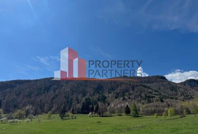 Terenuri Bran - Predelut  Priveliște către Bucegi și Postăvaru - 13