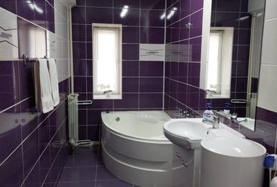 Inchiriere 2 camere zona ALBA IULIA-UNIRII - 12