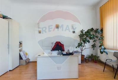 De vanzare Casa Vila București S+P+M in Sector 1 - 13