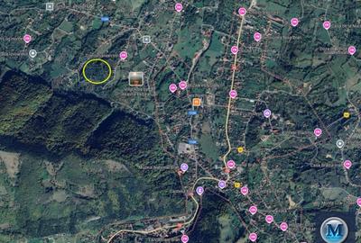 Teren intravilan de vanzare in Bran, 24000 mp #16561 - 3