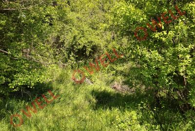 De vânzare teren intravilan de 30 000 m² (3 ha) în Reghin - 4