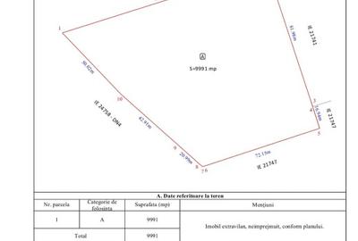 FRUMUSANI-BUDESTI 10000 MP DIRECT DN4 - 2
