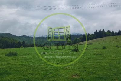 Parcele de vis în munți – Zonă Arka Park, cu drum de acces și PUZ aprobat - 4