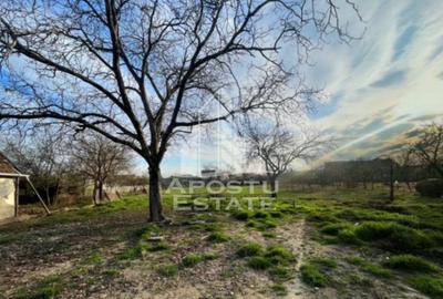 Teren Construcții intravilan de 1575 mp, în Sânnicolau Mic