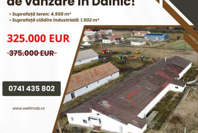 Spațiu industrial, 1502 mp în Dalnic