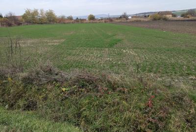 Teren intravilan Ungheni - 1