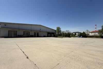 Depozite logistice 5.000 mp de vânzare, Dragomirești-Vale, Centură - 3