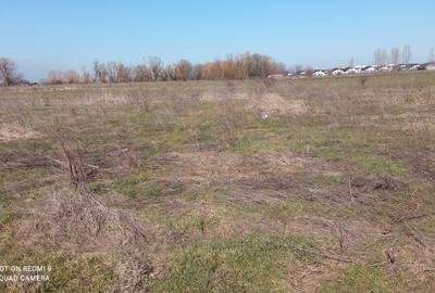 Teren  intravilan 465mp Str Lebedelor Comuna Berceni - 4