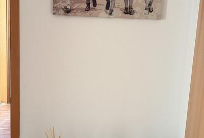 Apartament 2 camere zona Avantgarden Brasov - 12