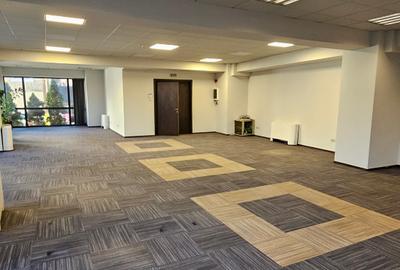 Spatiu birouri in imobil de birouri, P-ta Victoriei, parter - 8