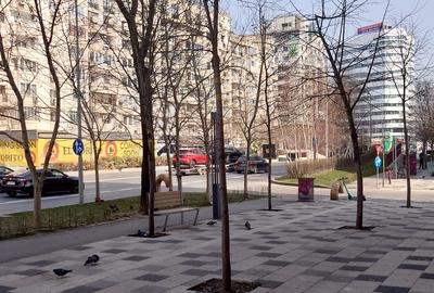 DECEBAL 3 CAMERE / PRIMA INCHIRIERE TOTUL NOU - 10