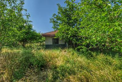 Teren langa lac - 40 km de Bucuresti - 1