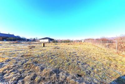 Descoperă Terenul Ideal: 390mp în Daia, Sibiu - 3