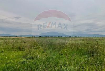 Comision 0% | 4 Parcele 538mp | Harman, Strada MIHAIL SADOVEANU - 8