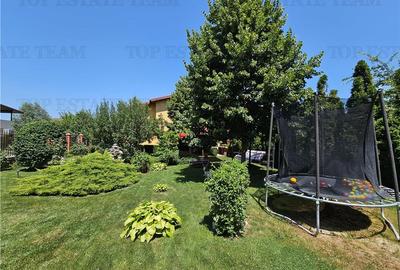Vila lux 5 camere cu gradina superba centru Domnesti - 13
