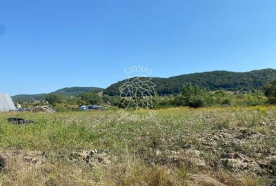 Teren 4100 mp - oportunitate investitie - Bistrita Zona Ranahum - 7
