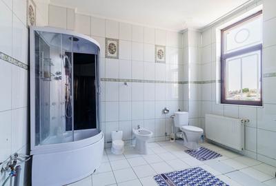 Locuință spectaculoasă cu potențial de business – 730 mp, sector 2 - 9