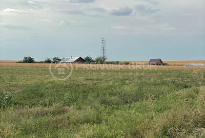 Teren extravilan 7.200mp, Bogdanesti-Horlesti, deschidere la 2 drumuri - 3