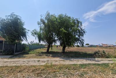 Teren perfect pentru CASA - 550 MP COMUNA 1 DECEMBRIE, ILFOV - 1