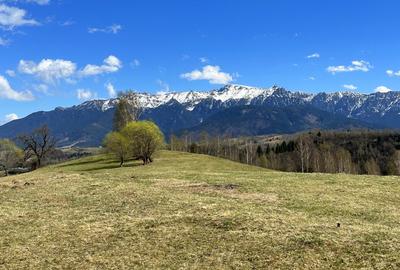 Teren Construcții extravilan de 1550 mp, în Moieciu