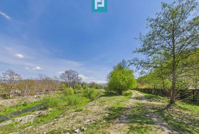 Casă Câmpani, 8000 mp teren, la poalele Apusenilor - 18