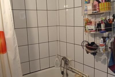 Casa Bihor Comuna Magesti Sat Josani la doar 50 de kilometri de Oradea - 15
