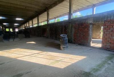 CLADIRE INDUSTRIALA 3500 mp  SI TEREN 10.000 MP DE VANZARE CASIN - 6