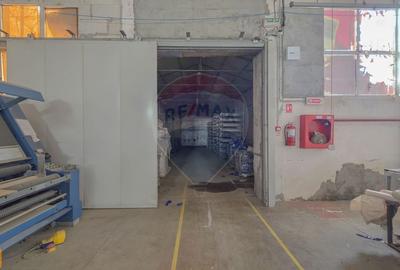 De vanzare spatiu industrial in Turnu Magurele - Teleorman - 26