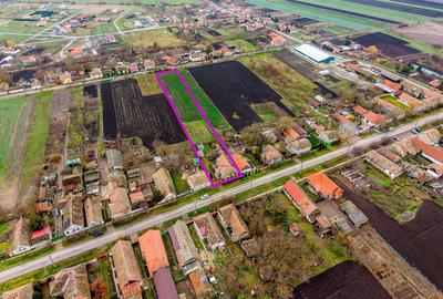 Casă în Dorobanți cu livadă + curte 2500 mp - 1