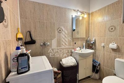 Casa insiruita cu 4 camere de vanzare in Calea Urseni, Timisoara - 12