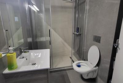 Apartament 2 camere-Parter Vila-Ideal birouri/cabinet-acces metrou - 8
