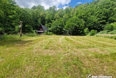 Teren plat, autorizatie de constructie+proiect  pe Valea Somesului Cald - 4