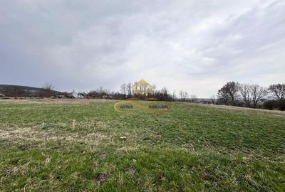 Teren de vanzare Blagesti Bacau - 6