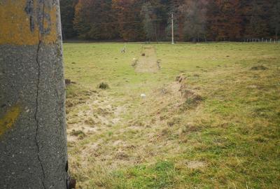 Cheia - zona Valea Ardelei- la intrarea in statiunea Cheia dinspre Ploiesti - 3