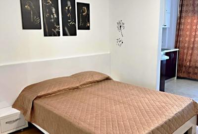 Garsoniera Copou-Sarariei, etaj intermediar, mobilat si utilat - 2