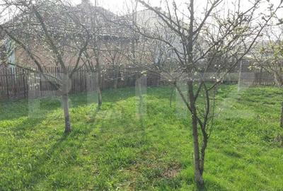 Proprietate cu casa renovabila si anexe, teren 8291 mp, în Iclod - 2