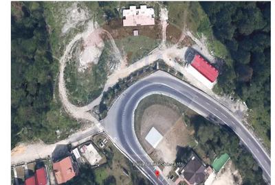 Teren intravilan Predeal-Strada Mihail Saulescu - 2