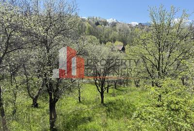 Teren 2500 mp Sohodol - 17