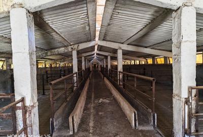Spațiu industrial -fermă Orțișoara - 2